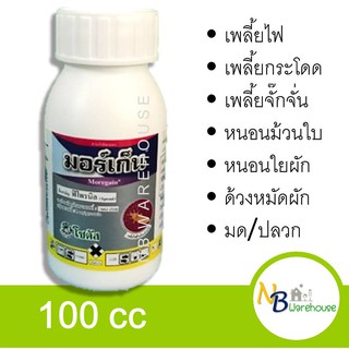 (100 cc) มอร์เก็น กำจัดแมลง, เพลี้ย, กำจัดมด -ปลวก-หนอน - ฟิโฟรนิล โซตัส  0012