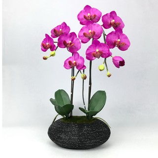 OrientalFineArt ดอกกล้วยไม้ปลอม phalaenopsis orchid plant pot arrangement