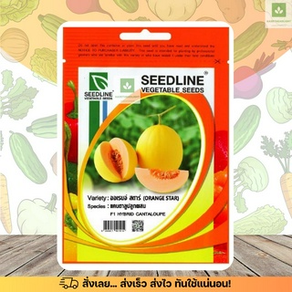 SL แคนตาลูป ออเร้นจ์ สตาร์ F1 Cantaloupe Orange Star เมล็ดพันธุ์แคนตาลูป