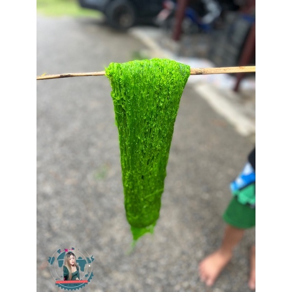 ฝอยทองสดใบเตย 3 กิโลกรัมJKshop