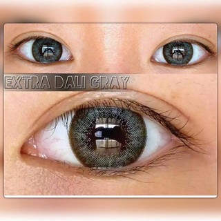 Extra Dali Gray TATOTO Contact Lensesคอนแทคเลนส์ #46