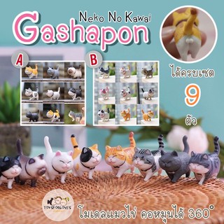 พร้อมส่ง Neko No Kawai กาชาปอง ตุ๊กตาแมวอ้วน เซต 9 ตัว แมวไข่อ้วน โมเดลแมว ตุ๊กตาแมว ฟิกเกอร์ Model แมว Gashapon Figure