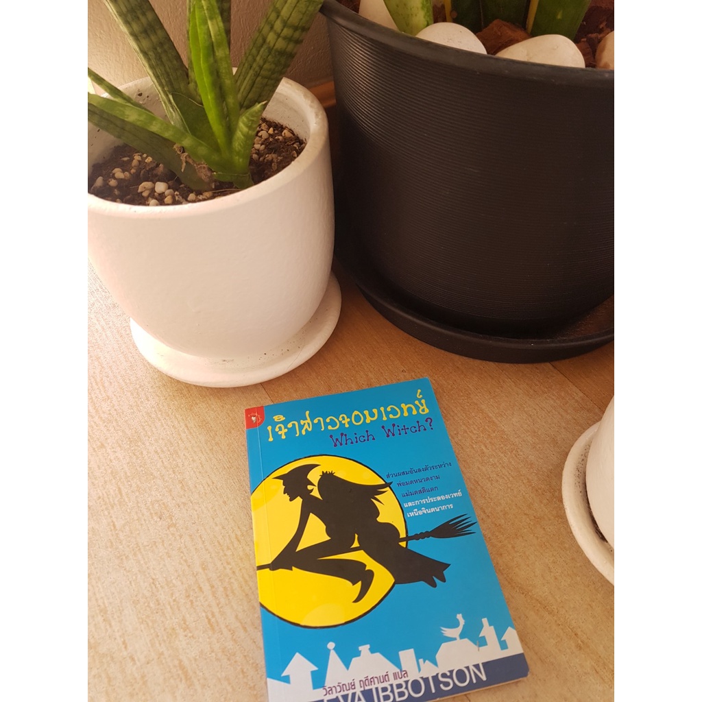 เจ้าสาวจอมเวทย์ Which Witch?
