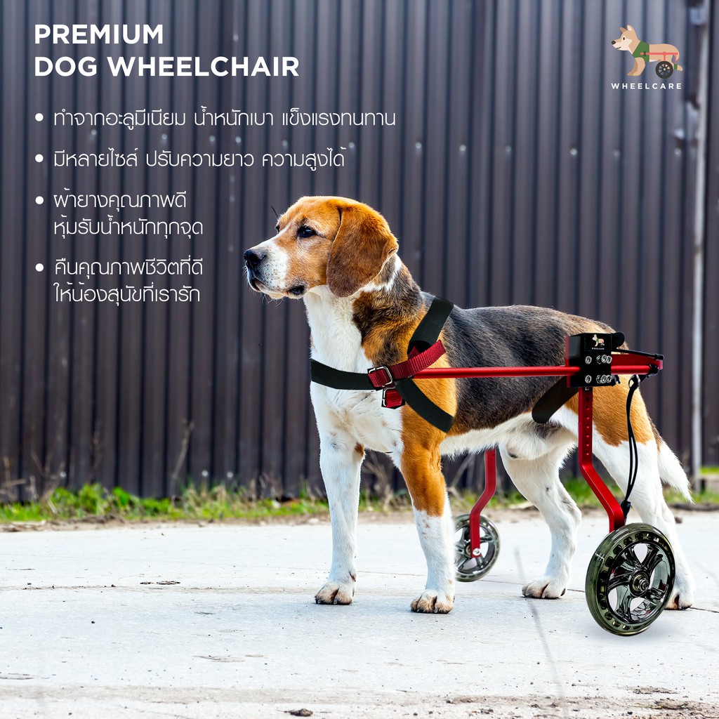 WHEELCARE - wheelchair dog วีลแชร์ รถเข็น สำหรับสัตว์พิการขาหลัง ทำจากอัลลอยด์ มีหลายขนาดปรับได้