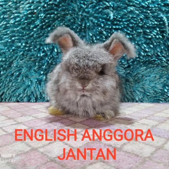 My Image 27