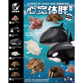 Animal Planet AP-054 : Laugh And Grow Fat Series - Ocean Edition