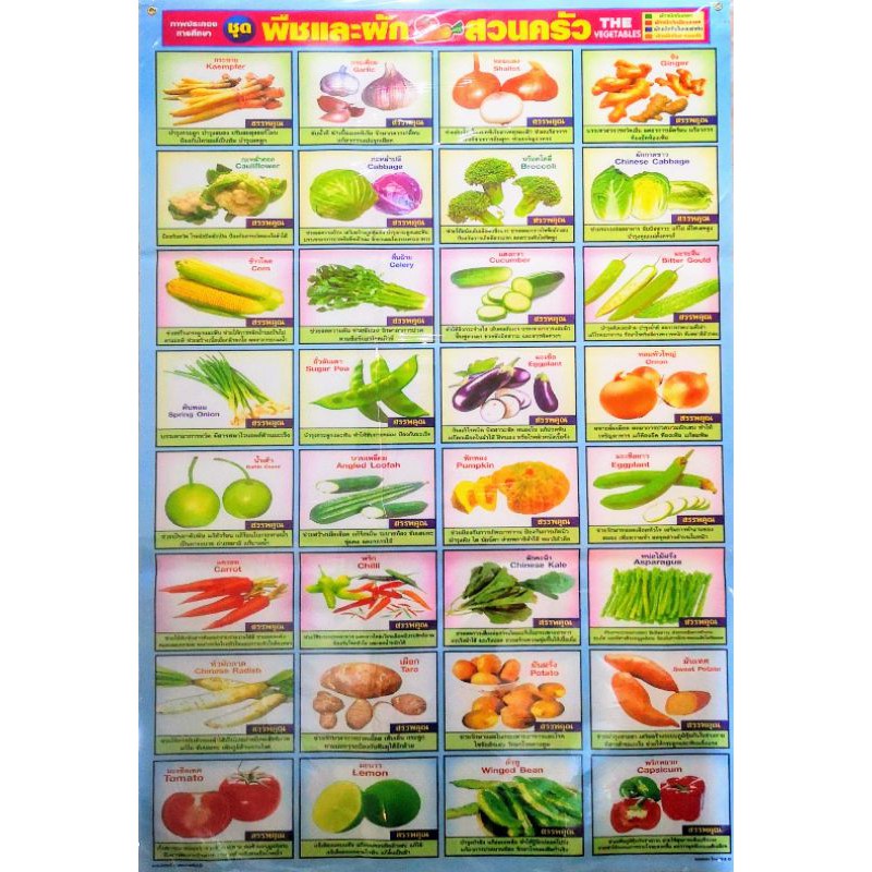 โปสเตอร์​พืชผักสวนครัว Poster Vegetable