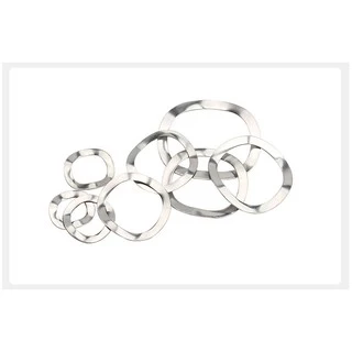 แหวนคลื่น สปริง รองตลับลูกปืนกันรุน สแตนเลส 304 M10 M12 M14 M16 M19 Wave Spring SUS304