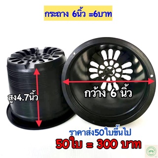 กระถางต้นไม้พลาสติก6นิ้ว กระถาง6นิ้วราคาส่ง กระถาง6นิ้ว50ใบ