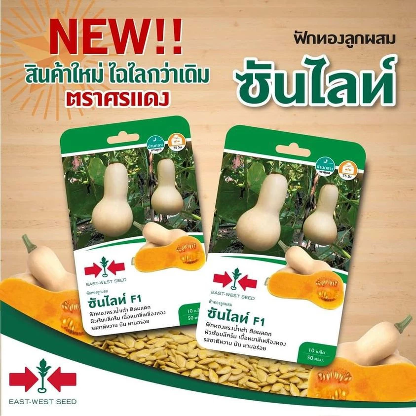 ฟักทอง ซันไลท์ หวาน หอม อร่อย ถุงทอง บัตเตอร์นัท ศรแดง