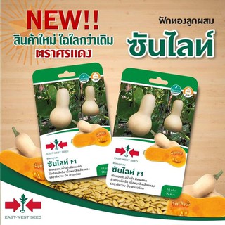 ฟักทอง ซันไลท์ หวาน หอม อร่อย ถุงทอง บัตเตอร์นัท ศรแดง