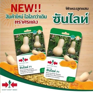 ฟักทอง ซันไลท์ หวาน หอม อร่อย ถุงทอง บัตเตอร์นัท ศรแดง