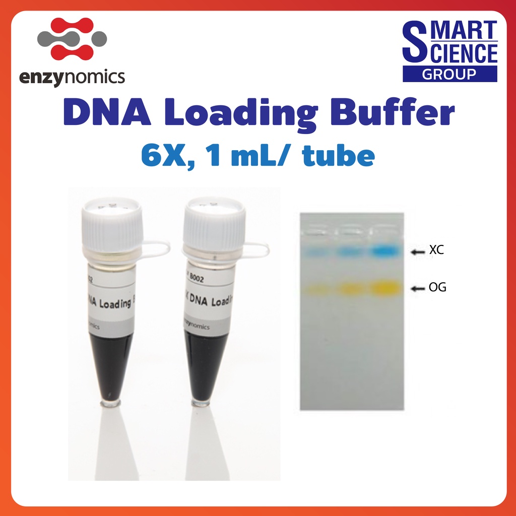 6X DNA Loading Buffer สำหรับเตรียม DNA Marker และตัวอย่าง agarose or polyacrylamide gels ปริมาณ 1 mL