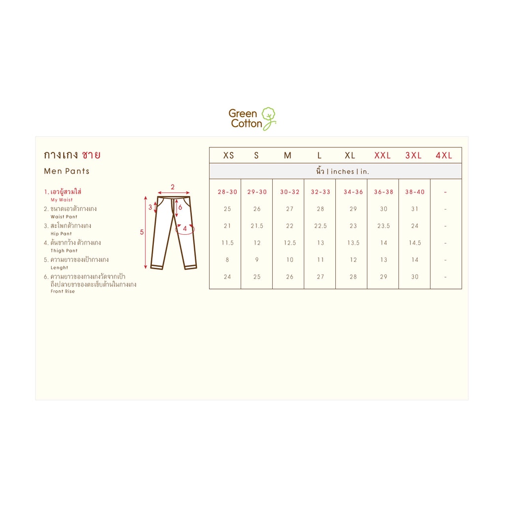 กรีน ค๊อตตอน ชุดนอนคอกลม ชาย Green Cotton GC Unisex Thai Pajamas Round Neck+Long Pants (Stretch Cotton) 12162 - รูปที่ 4