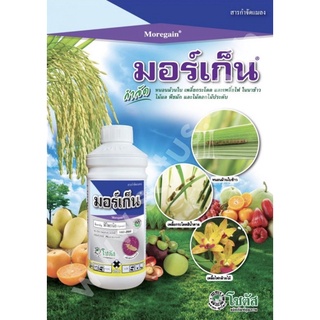 ฟีโพรนิล มอร์เก็น 1lt กำจัดเพลี้ย หนอน มด ปลวก หมัด