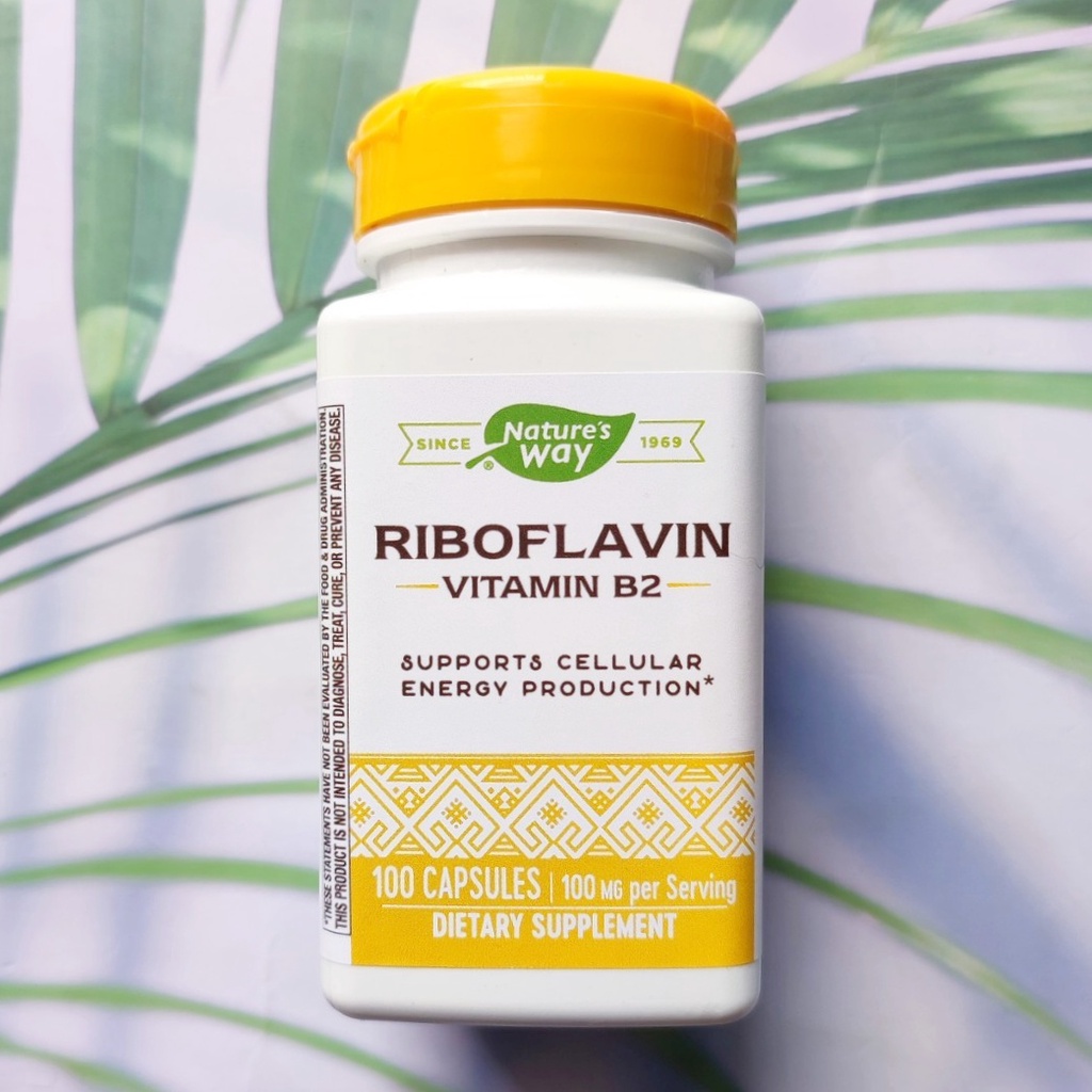 Vitamin B2 ไรโบฟาวิน Riboflavin 100 mg 100 Capsules (Nature's Way®) B-2 #B 2