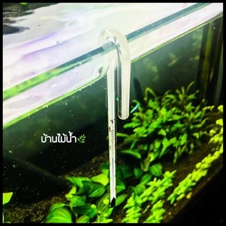 เทอร์โมมิเตอร์ Thermometer ตู้ปลา ตู้ไม้น้ำ เทอร์โมมิเตอร์ติดกระจก เทอร์โมมิเตอร์แขวน | บ้านไม้น้ำ🌿
