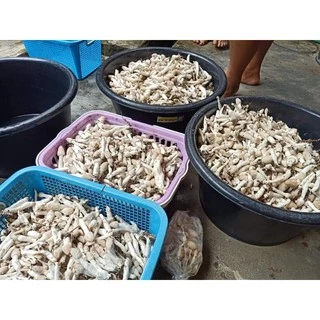เชื้อเห็ดโคนน้อย 5 ก้อน 70 บาท