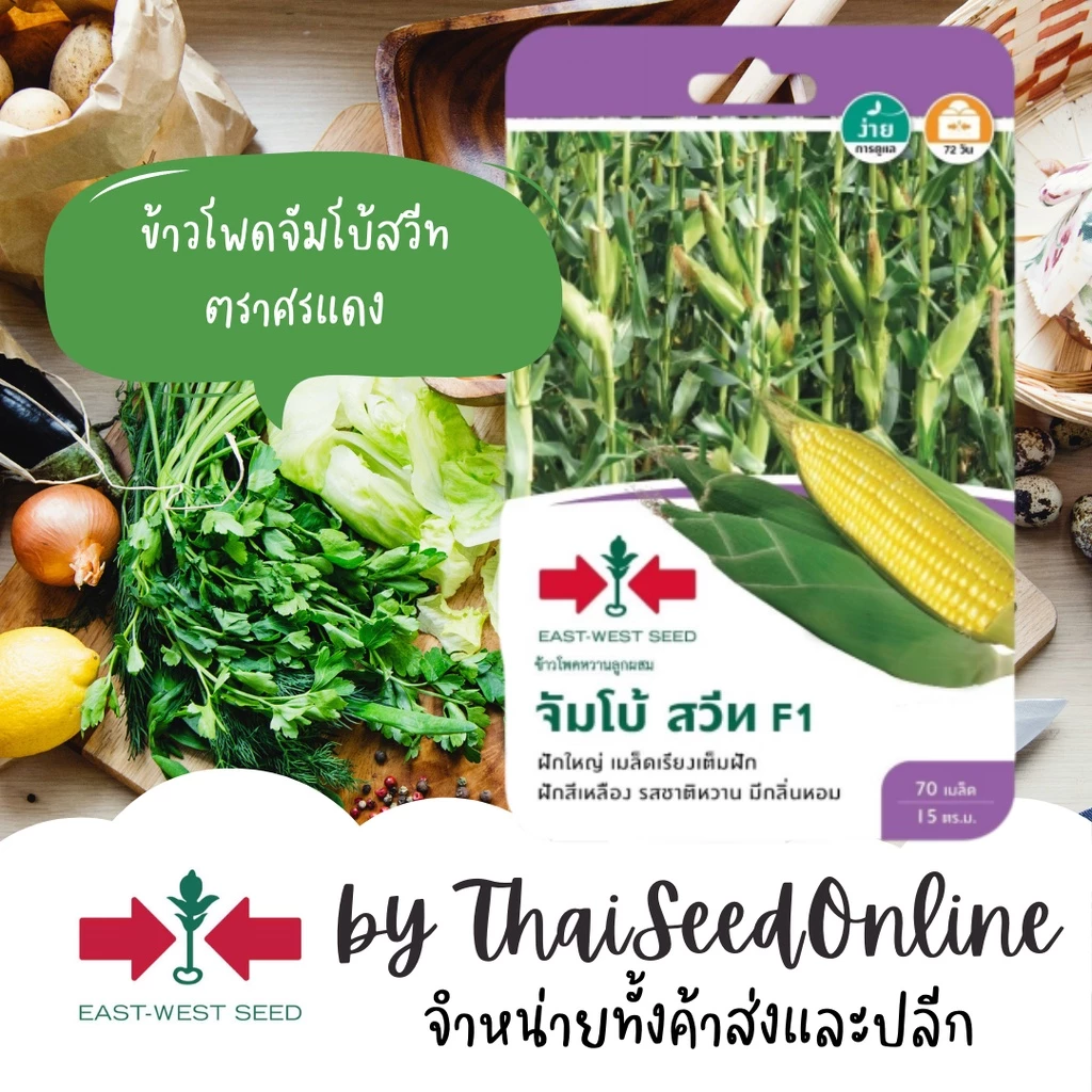 GGEW หมดอายุ 1/70 เมล็ดพันธุ์ ข้าวโพดหวานจัมโบ้สวีท 70 เมล็ด ตราศรแดง Corn