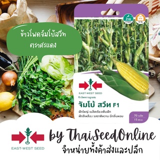 GGEW เมล็ดพันธุ์ซฟ ข้าวโพดหวานจัมโบ้สวีท 70 เมล็ด ตราศรแดง Corn