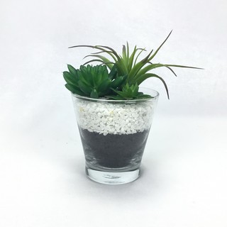 OrientalFineArt ต้นไม้ปลอมจิ๋ว แคคตัสพร้อมแก้ว Succulent plant in glass