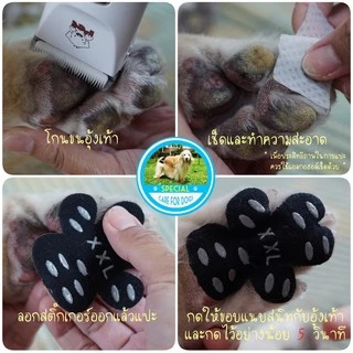 สติ๊กเกอร์ สำหรับแปะ เท้าสุนัข กันลื่น สำหรับเดินในบ้าน (1 ชุดมี 4 ชิ้น + แถมแผ่นแอลกอฮอล์สำหรับเช็ดอุ้งเท้า)