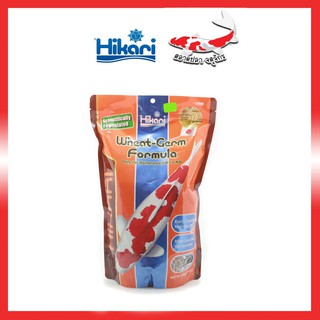 อาหารปลา HIKARI 500g.(เม็ดM) รุ่น WHEAT-GERM FORMULA (Floating type M)