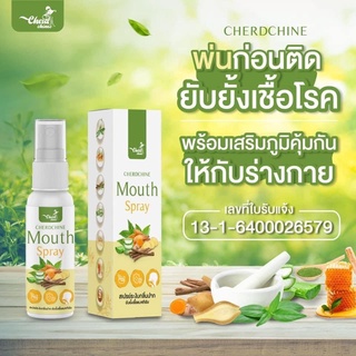 Mouth Spray สมุนไพร กระชายขาว ฟ้าทะลายโจร ฉีดเพื่อช่วยยับยั้งเชื้อลงปอด 1ขวด ปริมาณ 20ml.