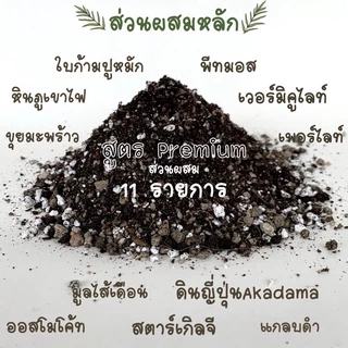 1กก.‼️ ดินปลูกแคคตัส ดินปลูกกระบองเพชร ไม้อวบน้ำ สูตรพิเศษ บำรุงต้น เร่งดอก