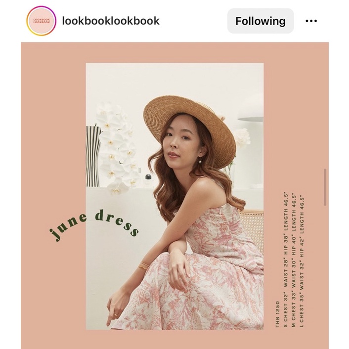 June dress lookbook ใหม่