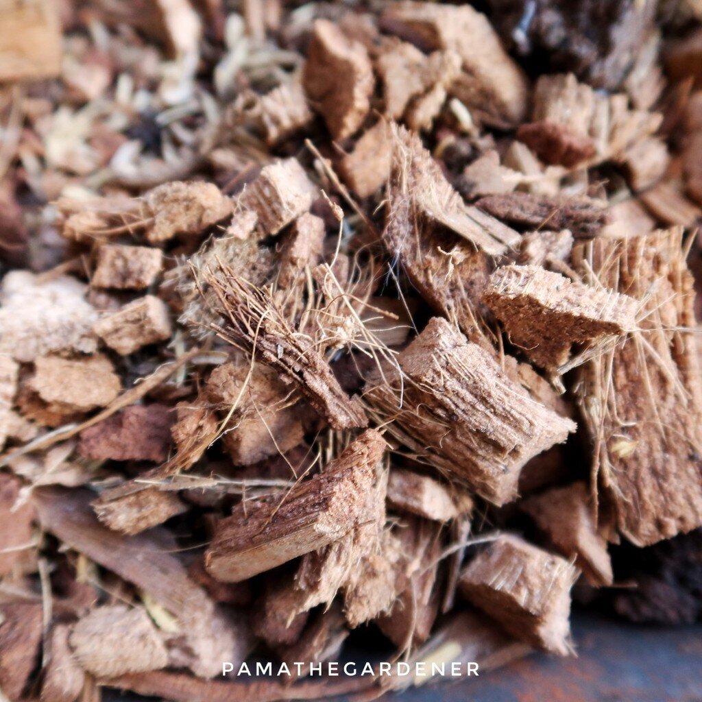 มุมมอง 2