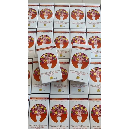 plasmalogen อาหารเสริมบำรุงสมอง หมดอายุ 09/2025 (ลอตใหม่)