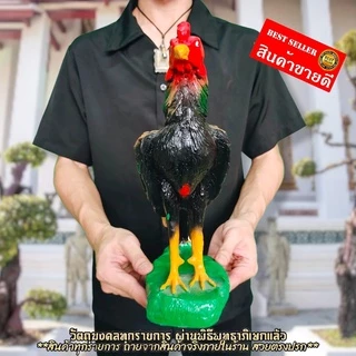 ไก่ชนแก้บน ขนาดใหญ่เกือบเท่าไก่จริง สูง25ซม.งานลงสีงดงาม บูชาถวายในวาระต่างๆในการแก้บนศาลหรือขอความเจริญรุ่งเรือง