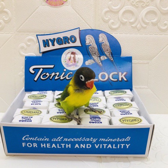 แคลเซี่ยมก้อน  แคลเซี่ยมสำหรับนก