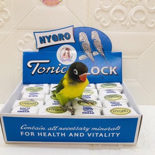 แคลเซี่ยมก้อน  แคลเซี่ยมสำหรับนก