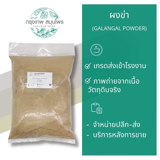 ข่าผง 1 กิโลกรัม ผงข่า เครื่องปรุง เครื่องแกง Galangal Powder