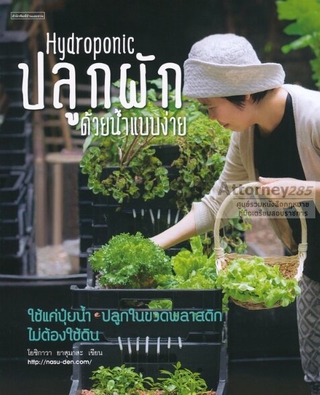 Hydroponic ปลูกผักด้วยน้ำแบบง่าย