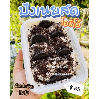 จัดส่งทุกวัน ขนมปังเนยสด โรยหน้า อร่อยบอกต่อ กล่องใหญ่จุใจ ราคาเพียง 85 บาท ตักกินกี่คำก็เจอไส้จุใจกันเลยคะ😋