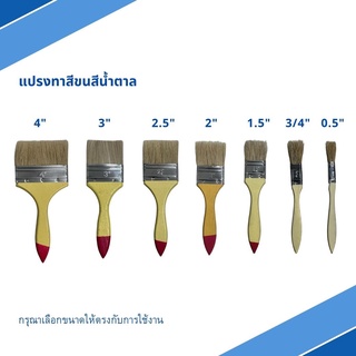 แปรงทาสี (ขนหมู) ขนสีน้ำตาล ขนแปรงคุณภาพดี มีหลายขนาด