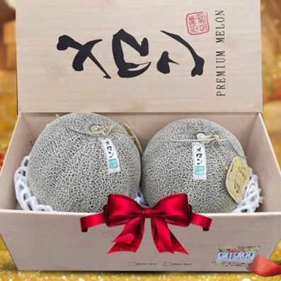 เมล่อนญี่ปุ่น กล่องลายไม้ เมล่อน แพ็ค 2 ลูก เนื้อสีเขียว by Fruit for Health