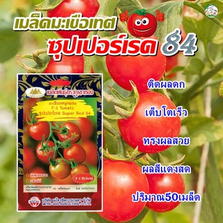 เมล็ดมะเขือเทศ ซุปเปอร์เรด 84 (Super Red 84) เมล็ดพันธุ์มะเขือเทศ เมล็ดพันธุ์ผัก เมล็ดผักสวนครัว ตราภูเขาทอง