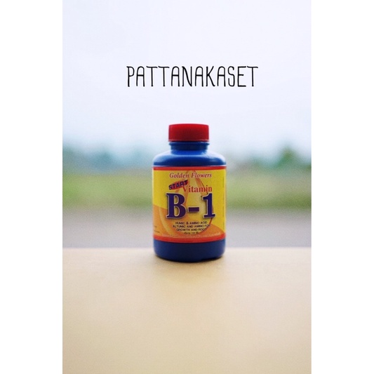 B-1 บี-วัน ยาเร่งราก 100 มิลลิลิตร น้ำยาเร่งราก B1 บี-1 บี เร่งราก ราก  B1  บี1 บี-มาก