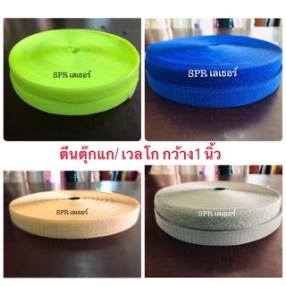 ตีนตุ๊กแกหรือเวลโกขนาด1นิ้วขายแยกตัวหนามตัวขนมีของพร้อมส่ง