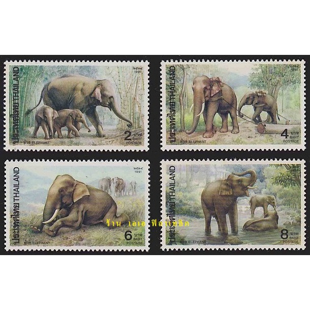 Postage Stamps & Duty Stamps 50 บาท แสตมป์ไทย – ยังไม่ใช้ สภาพเดิม – ปี 2534 : ชุด ช้าง #1553 Stationery