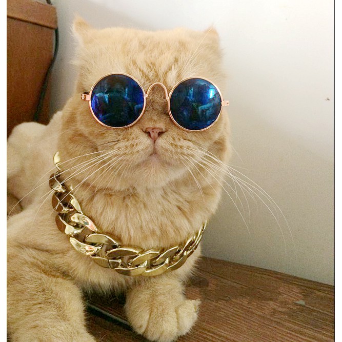 แว่นหมา แว่นแมว แว่นตากันแดดสัตว์เลี้ยง ทรงกลม เหมาะกับ หมาแมว กระต่าย ขนาดเล็ก มีสายรัดให้ฟรี