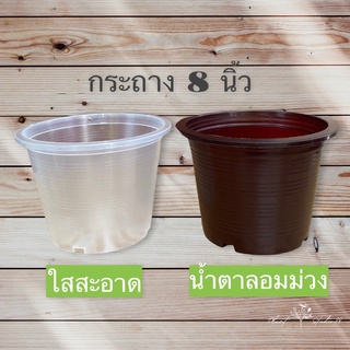 กระถางขนาด 8 นิ้ว สีใส สีน้ำตาลอมม่วง