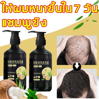 ZHENXIU แชมพูสมุนไพรขิงบำรุงผม 250ml แชมพูผมร่วง แชมพูขิงเพียว เซรั่มผมยาวไว ผมยาวไว แชมพูปลูกผมดก สำหรับผมบาง ป้องกันผม