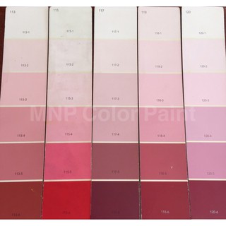 สีทาบ้าน สีกึ่งเงาเบเยอร์คลู สีบ้านเย็น เช็ดล้างได้ ขนาด 1/4 แกลลอน (0.9ลิตร) **เฉดสีชมพู ครีม เทา มีทุกเฉดนะคะ***