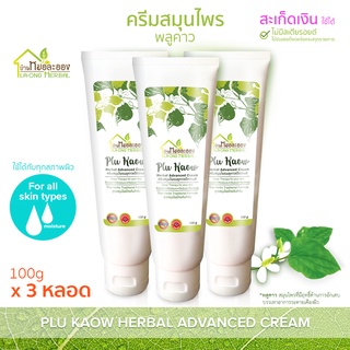 บ้านหมอละออง ครีมสมุนไพร พลูคาว 100g ครีม สะเก็ดเงินใช้ได้ คุณค่าพิเศษที่ธรรมชาติมอบไว้ให้ ครีมพลูคาว แอ๊ดวานซ์ Advanced