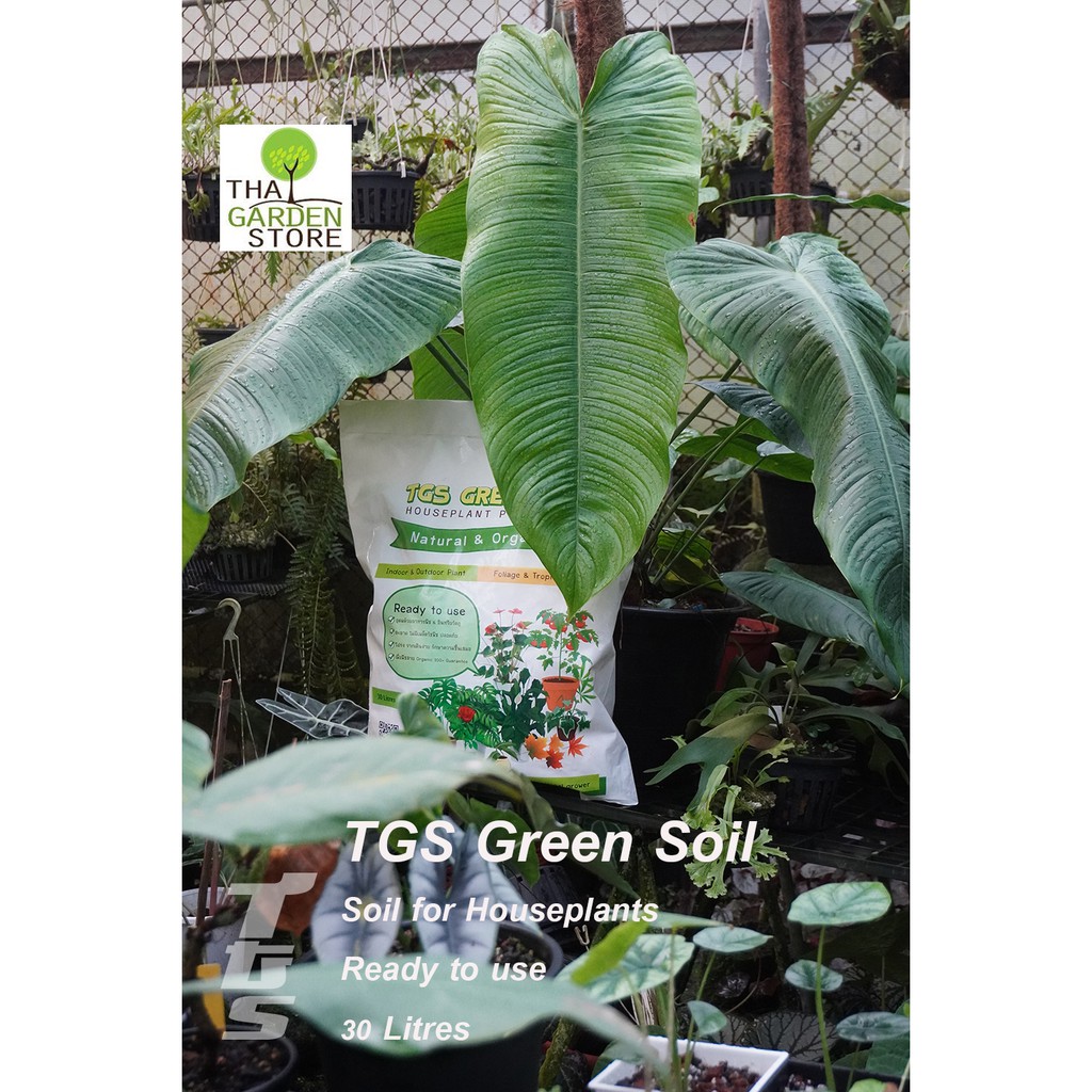 ดิน TGS GREEN SOIL ขนาด 30ลิตร มี 3 สูตร